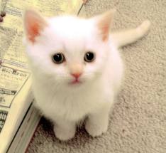 images (8).jpg